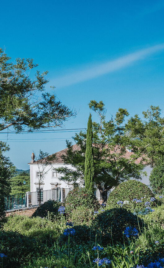 Localização - Casas de Calhariz